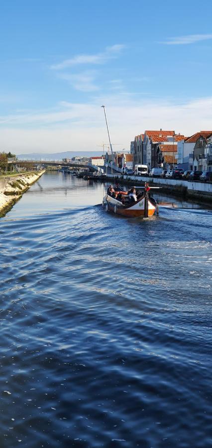 Cantinho Do Auka - Studio Aveiro Dış mekan fotoğraf